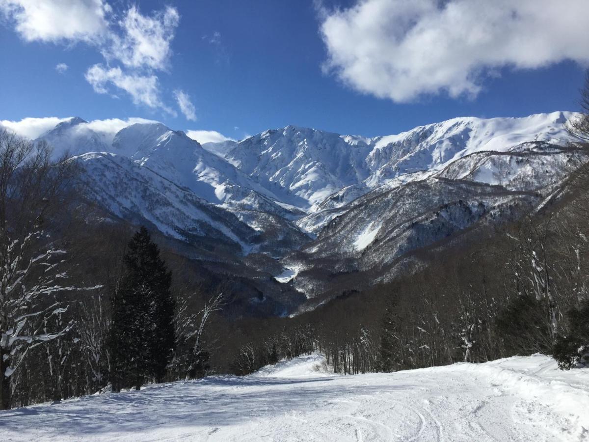 Lodge Blue Mount Хакуба-Мура Экстерьер фото